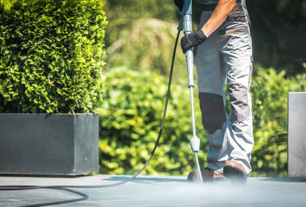 Best Building Exterior Washing  in Pasadena, CA