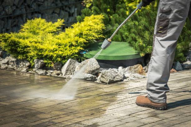 Best Solar Panel Cleaning  in Pasadena, CA