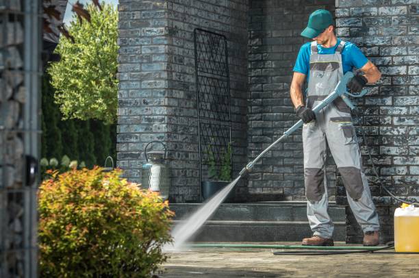 Best Gutter Cleaning  in Pasadena, CA
