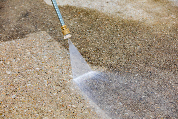 Best Animal Enclosure Cleaning  in Pasadena, CA